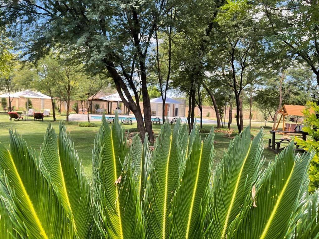 Tshiberry Bed & Breakfast Phokeng Eksteriør bilde